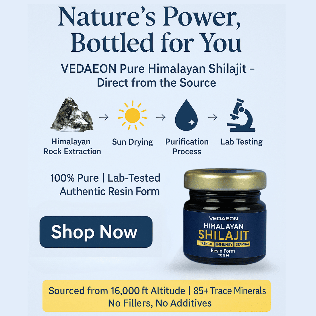 Pure Himalayan Shilajit Resin + Testosterone Booster | Lab - Tested | Vedaeon - Vedaeon
